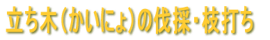 ���X�T�v 